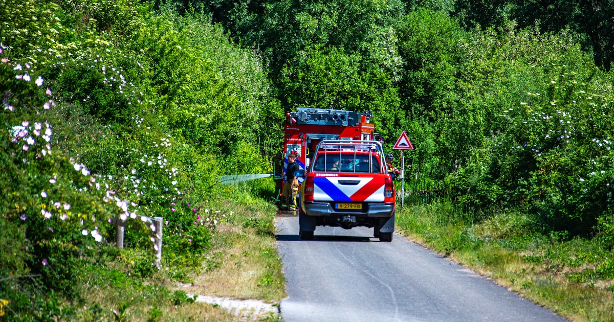 Kleine brand in duingebied van Oostvoorne