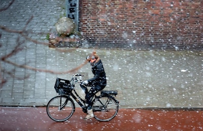 Image related to the article