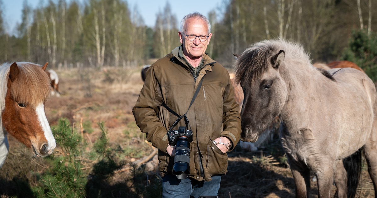 Erik is nog lang niet uitgekeken op het Leenderbos: ‘Ik maak foto’s om te laten zien hoe mooi het er