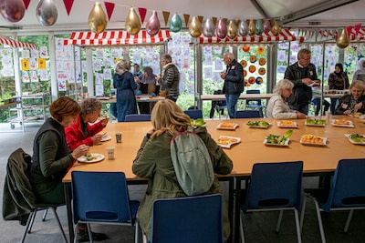 Image related to the article