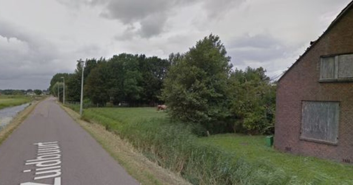 Acht woningen op plek boerderij in Zuidbuurt mogen er van Vlaardingen komen