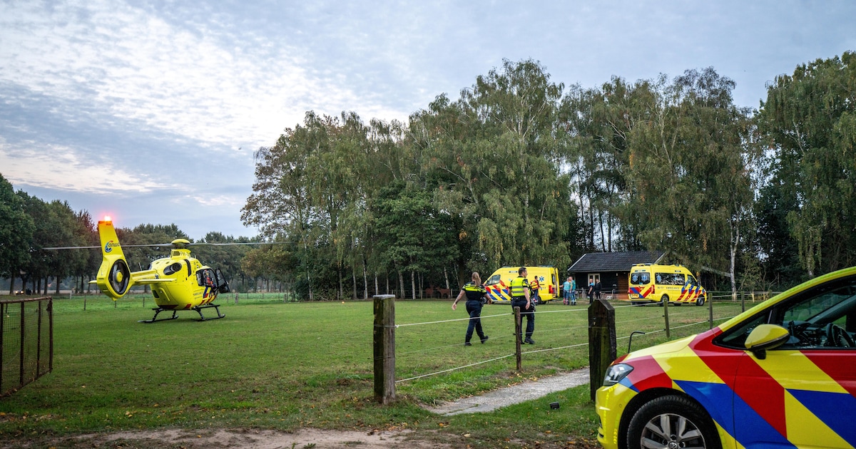 Minderjarig meisje naar ziekenhuis na trap van paard, ook traumahelikopter opgeroepen