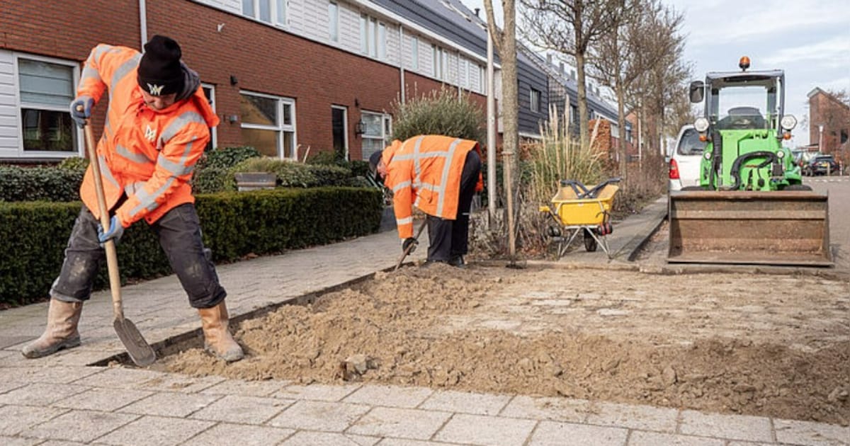Wijken in ‘s-Gravenzande en Monster moeten veel groener worden