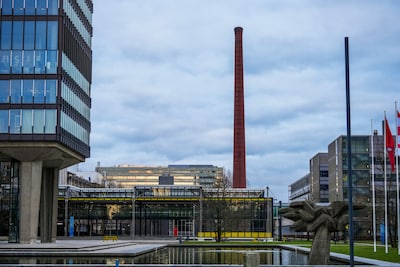 Image related to the article
