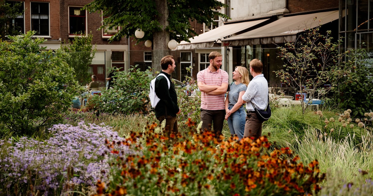 Weekendtips: dit doe je in Dordrecht (7 - 9 november)