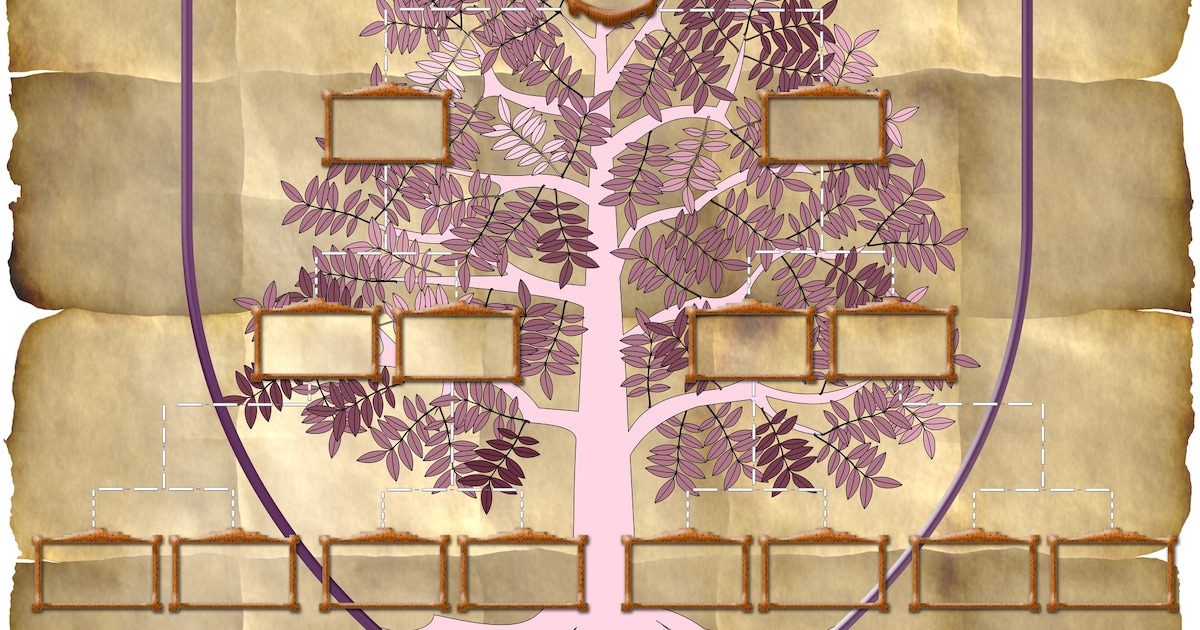 Stamboomcafé opent deuren in Heeze, hulp bij ontdekken familiegeschiedenis