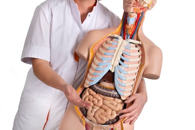 ETZ vervangt vervelend kijkonderzoek door echo: mag ik dan ook naar Tilburg?