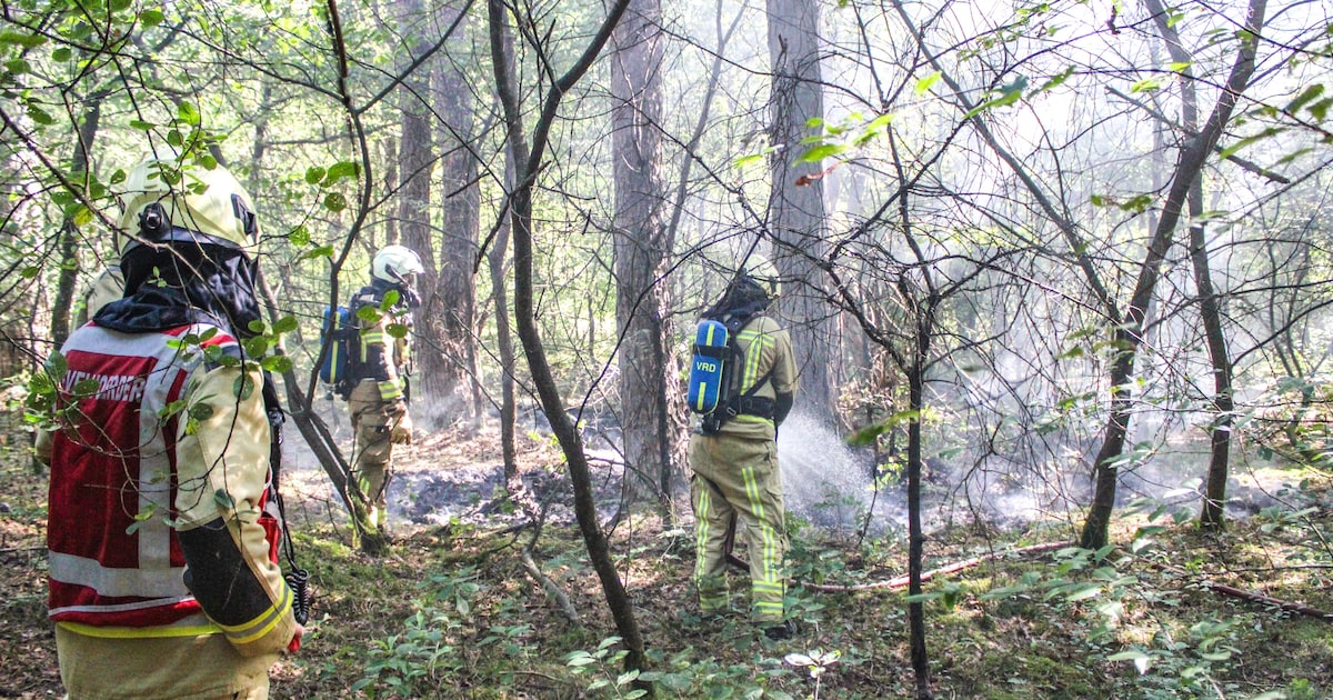 Brandweer voor tweede keer naar bos bij Diever vanwege brandmelding