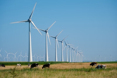 Besluit over megawindmolens is vertraagd: nieuwe gemeenteraad mag de knoop doorhakken