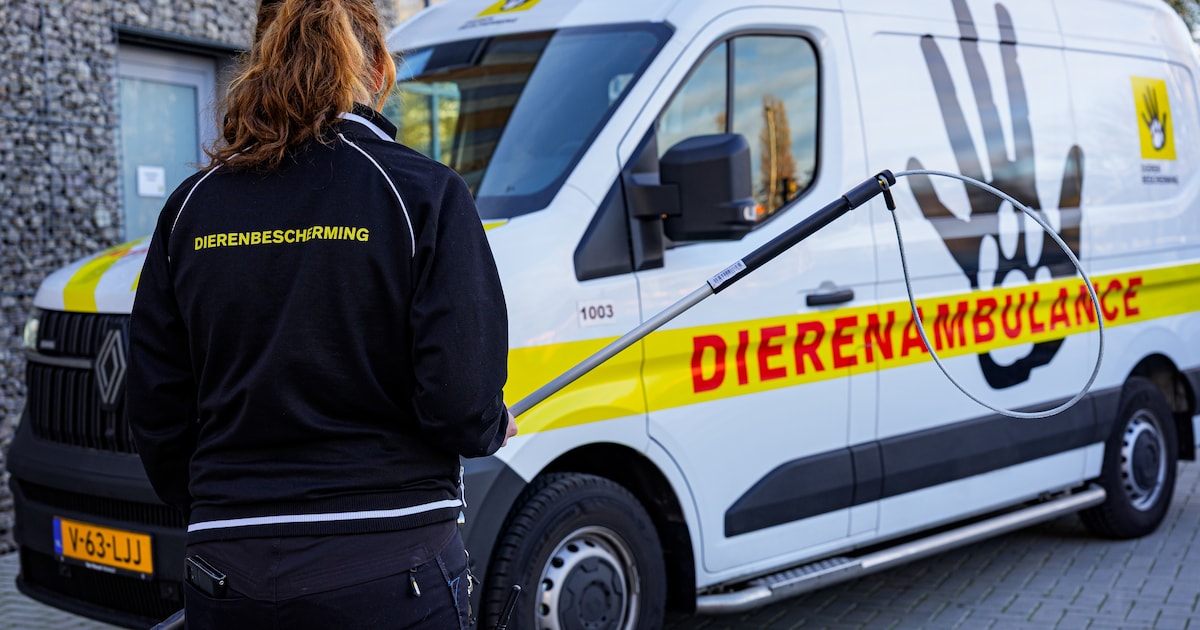 Wintermarkt Goor schenkt 2008 euro aan dierenambulance