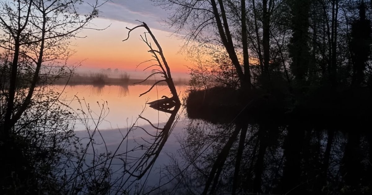 Zomervaartocht laat mooiste plekken van de Nieuwkoopse Plassen zien