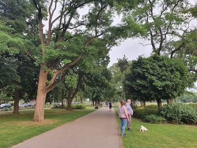 Weekendtips: deze dingen doe je in Nijmegen (14-16 augustus)