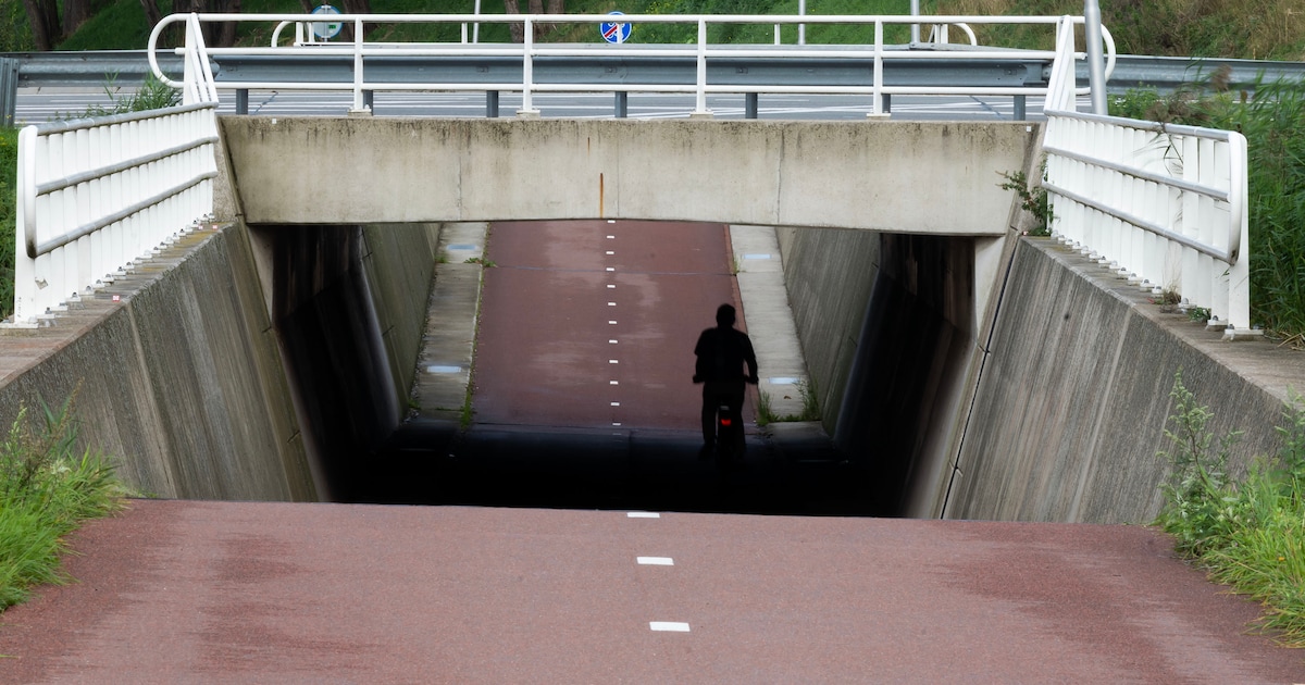 Vrouw (22) komt op voor meisje dat wordt lastiggevallen en wordt zelf mishandeld: ‘Niet handig uitge