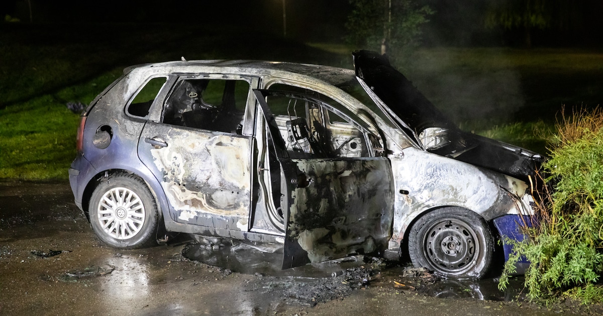 Auto volledig uitgebrand in park in Etten-Leur