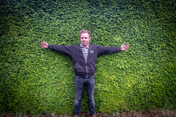lebensbaum / thuja occidentalis smaragd 160/180 cm Lebensbaum Thuja occidentalis Smaragd 160-180 cm Hhe Ballenware