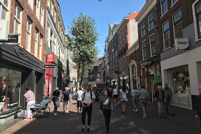 Weekend tips: things to do in Haarlem (July 10-12)