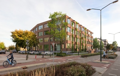 Image related to the article