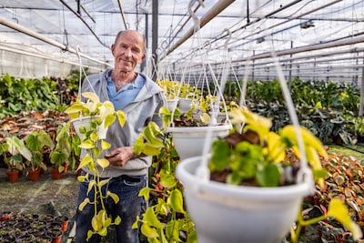 Kweker Willem over btw-verhoging op sierteelt: ‘Denk niet dat Jetten bloemetje voor partner koopt’