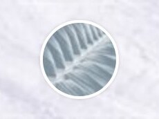 Hennie Botterblom - Voskuilen 