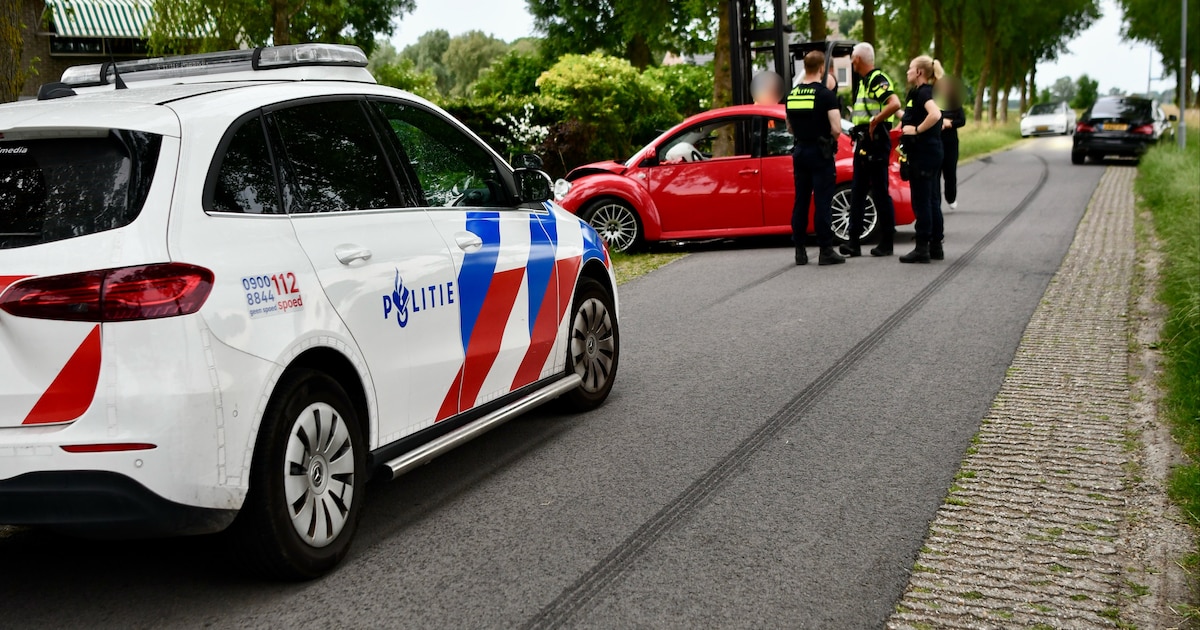 Auto raakt boom na botsing aan Grote Zomerdijk in Wognum