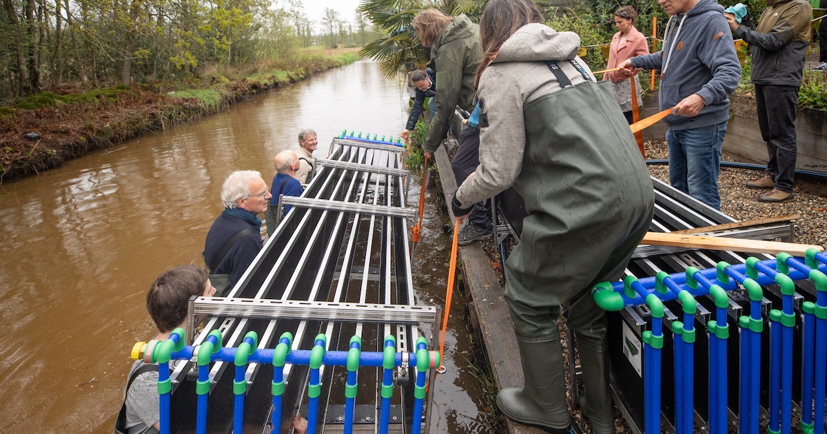 Plan voor warmte uit vijvers in Soest steeds concreter: over een dik jaar ligt er al een eerste aanb