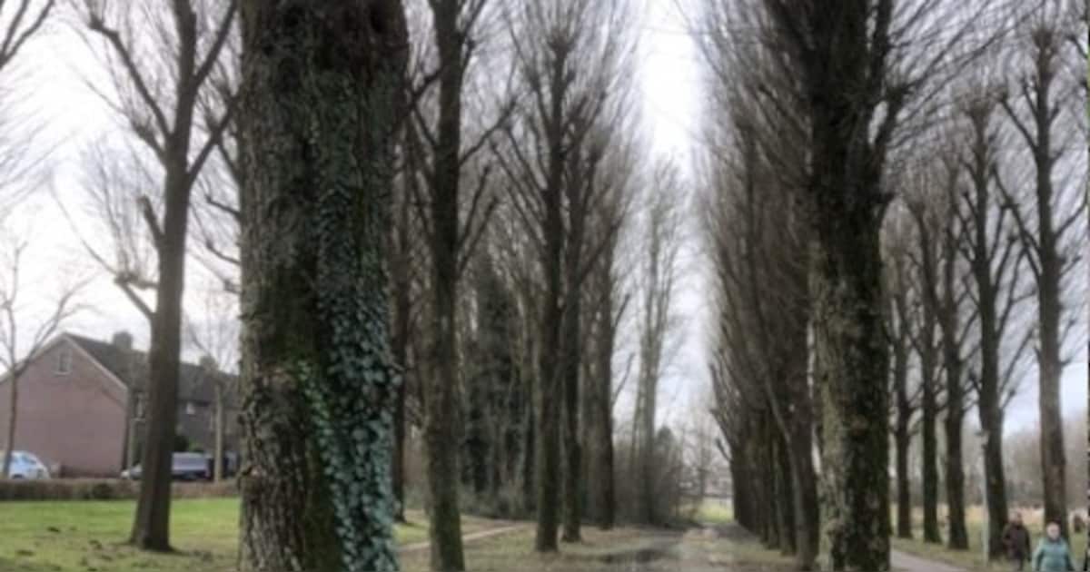 Blaricum start met drainage in park Laagwatersloot in Blaricum