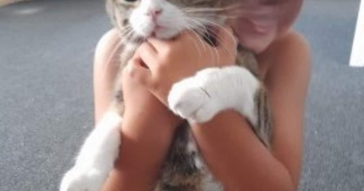 Heb jij Cappucino of Tommy gezien? Deze twee huisdieren worden in Waddinxveen vermist