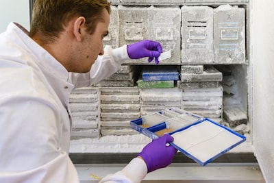 Brain organoids finally allow for testing of drugs against brain diseases