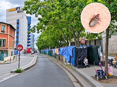 Image related to the article