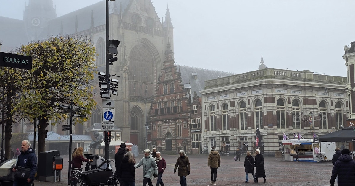 Weekendtips: deze dingen doe je in Haarlem (9-11 oktober)