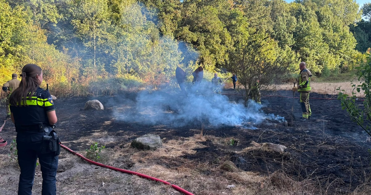 Droog gras vliegt in brand in Bennebroek, brandweer grijpt snel in