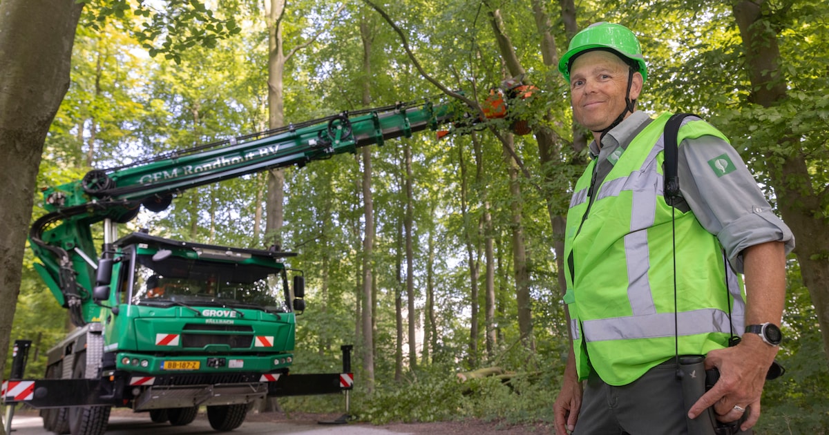 Staatsbosbeheer werkt aan bos en vogelkijkplek bij Ruinen en Lheederzand