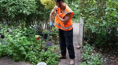 Image related to the article