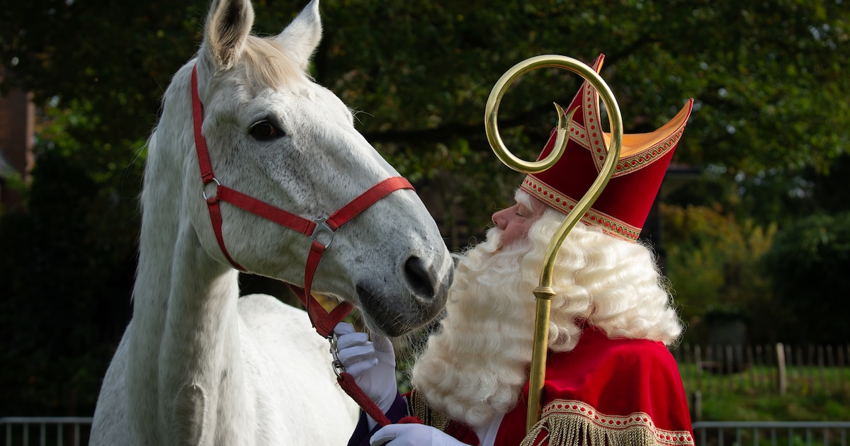Paard van Sinterklaas overleden: ‘Hij bleek een braaf karakter te hebben’ | Soest