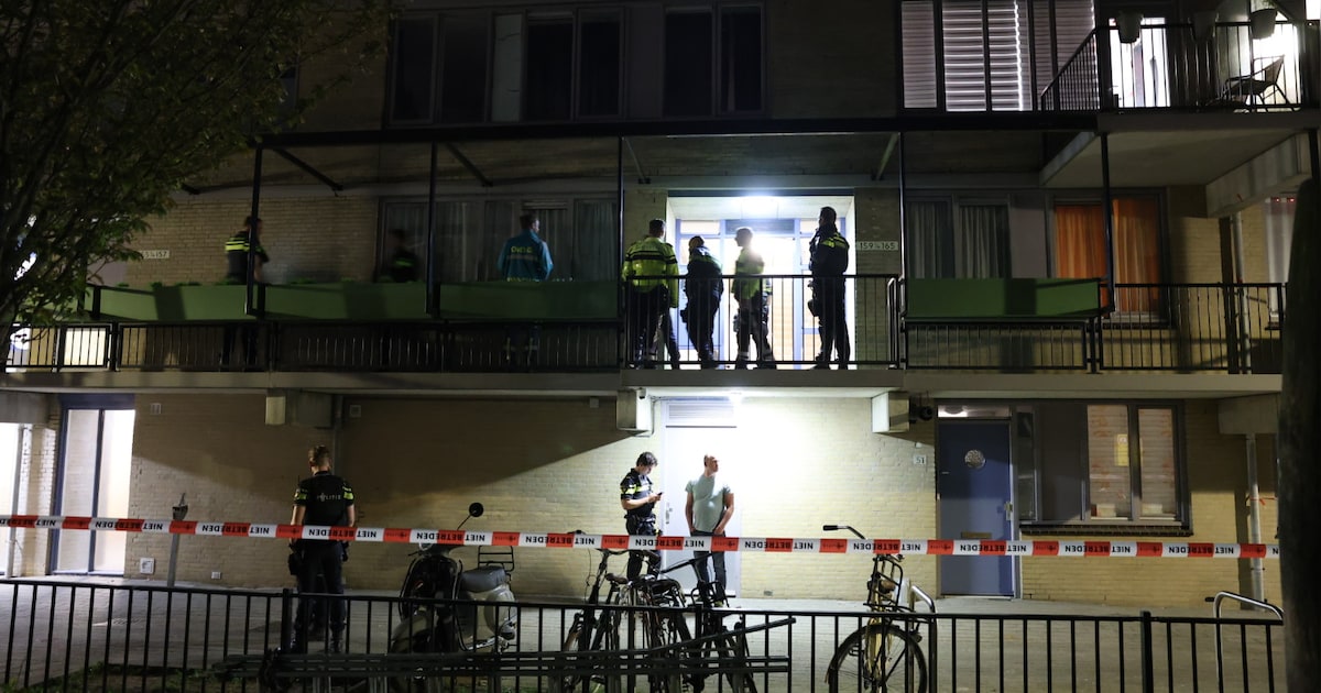 Dodelijke steekpartij in Hoofddorp, politie arresteert verdachte