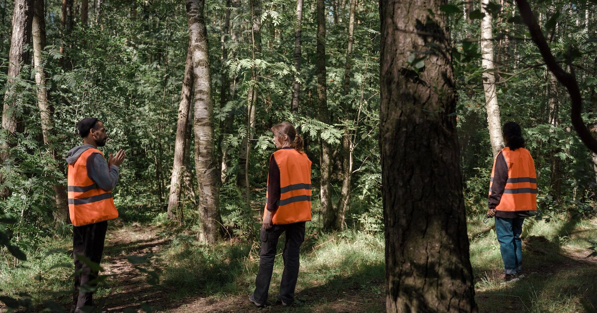 Zie jij ’s avonds of ’s nachts mensen met oranje hesjes lopen in Doetinchem? Dit is er aan de hand