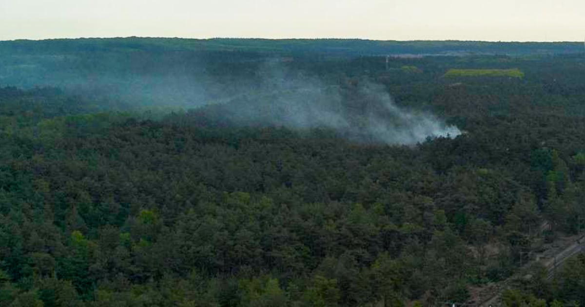 Opnieuw bosbrand bij Kootwijk, rook zichtbaar vanaf A1