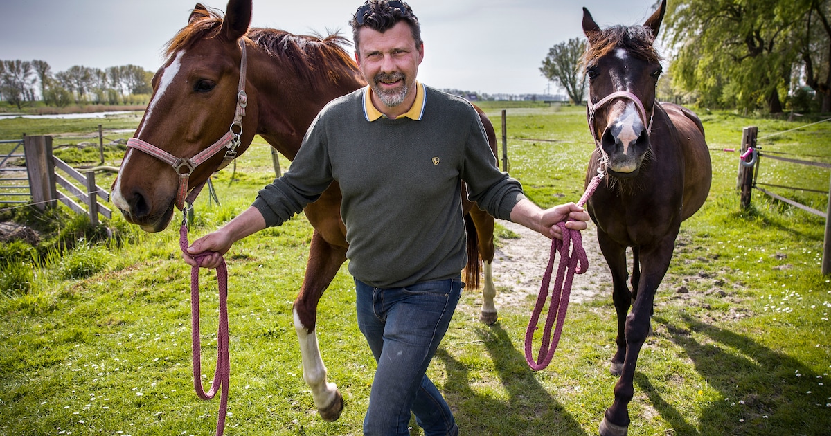 Paardenhouder krijgt na bijna zes jaar gelijk: ‘Dit voelt als grote overwinning’