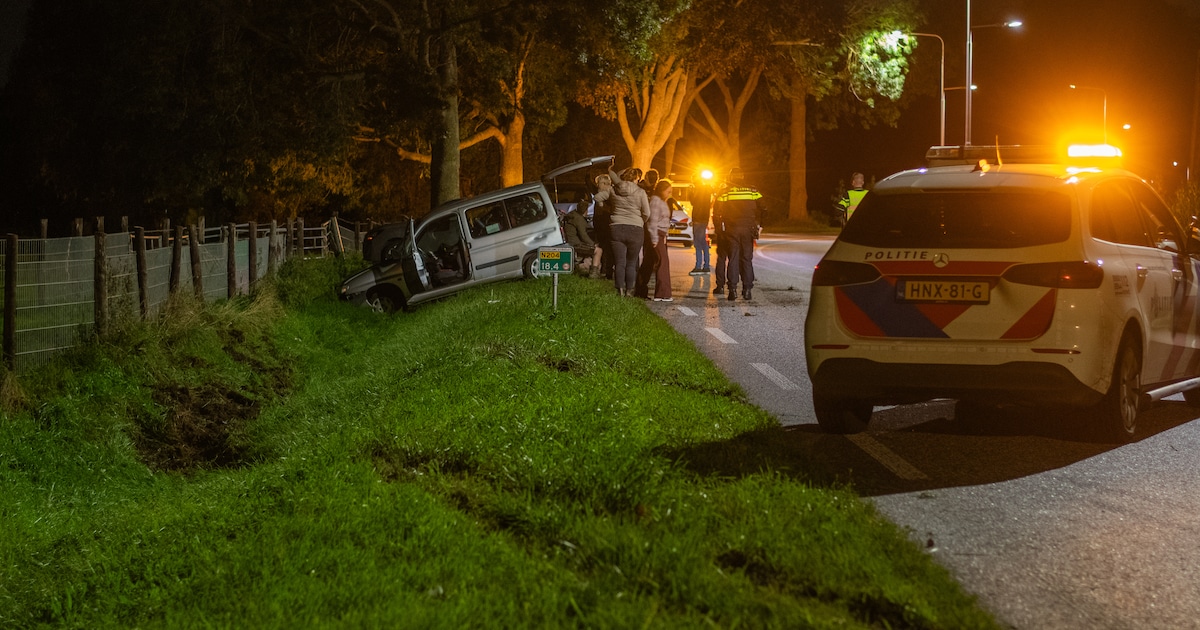Bestelbusje raakt van de weg en belandt in Greppel bij Linschoten