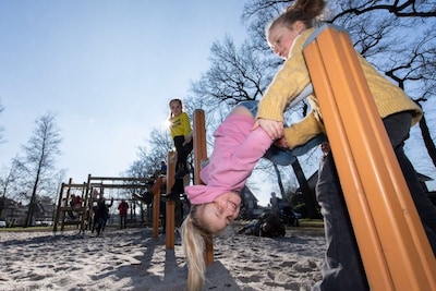 Image related to the article
