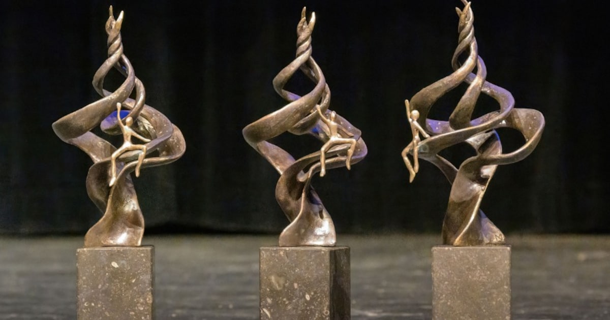 Waarderingsprijzen Eemsdelta alsnog uitgereikt op 29 januari in Centrumkerk Delfzijl