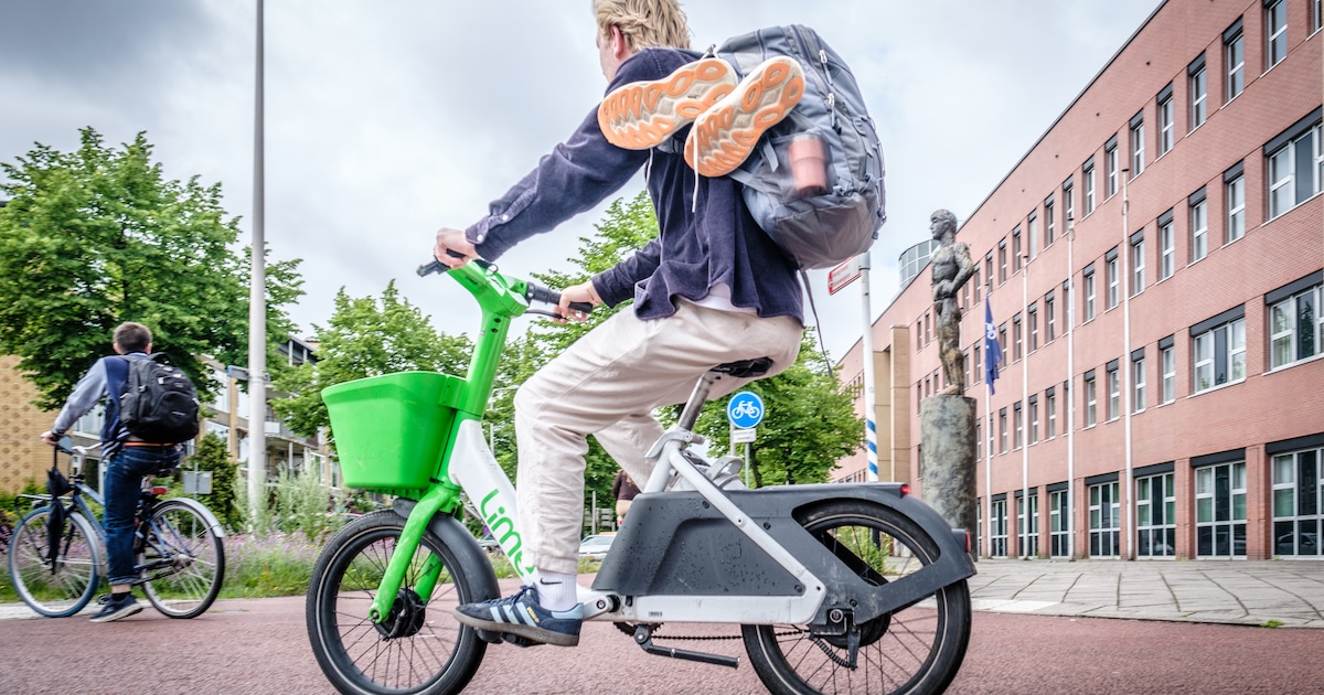 ‘Ideaal’ en ‘Ze zetten de hele stoep vol’: lezers verdeeld over Lime-fietsen in Stichtse Vecht