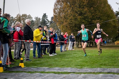 Image related to the article