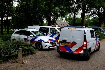 Ruzie, bijtende honden en vernielingen: wat was er zaterdagavond aan de hand in de Nieuwegeinse wijk