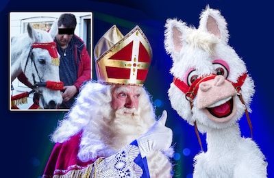 Na Zwarte Piet nu paard bij Sint-intocht onder vuur: 'Dordrecht moet blij zijn dat mensen dit nog willen organiseren'
