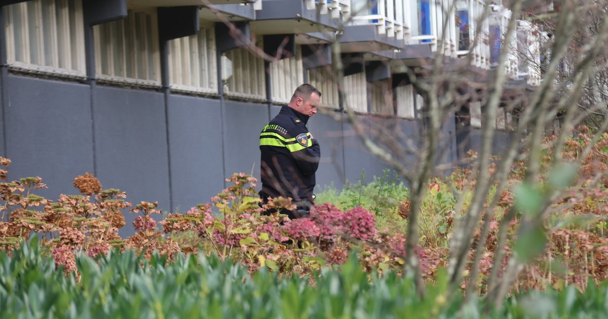 Grote zoekactie na melding steekpartij Oslopad Vlaardingen