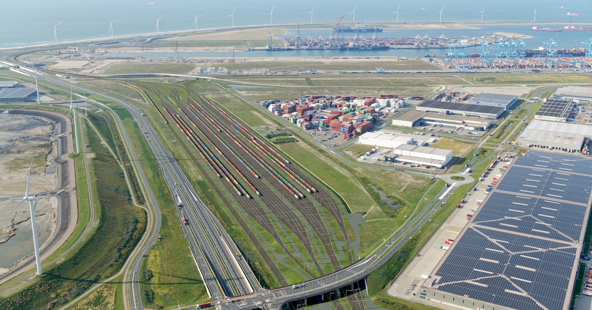 Containerterminals verdubbelen hun capaciteit, en daarom wordt het ...