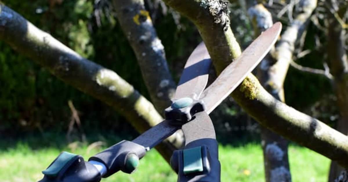 Gemeente Woudenberg haalt grof tuinafval op