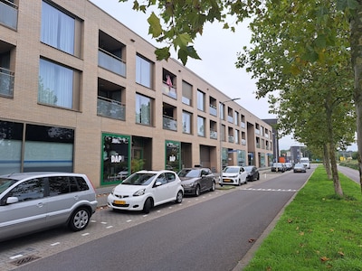 In de Ketelhavenstraat, vlakbij station Reeshof, mag je straks nog maar twee uur parkeren
