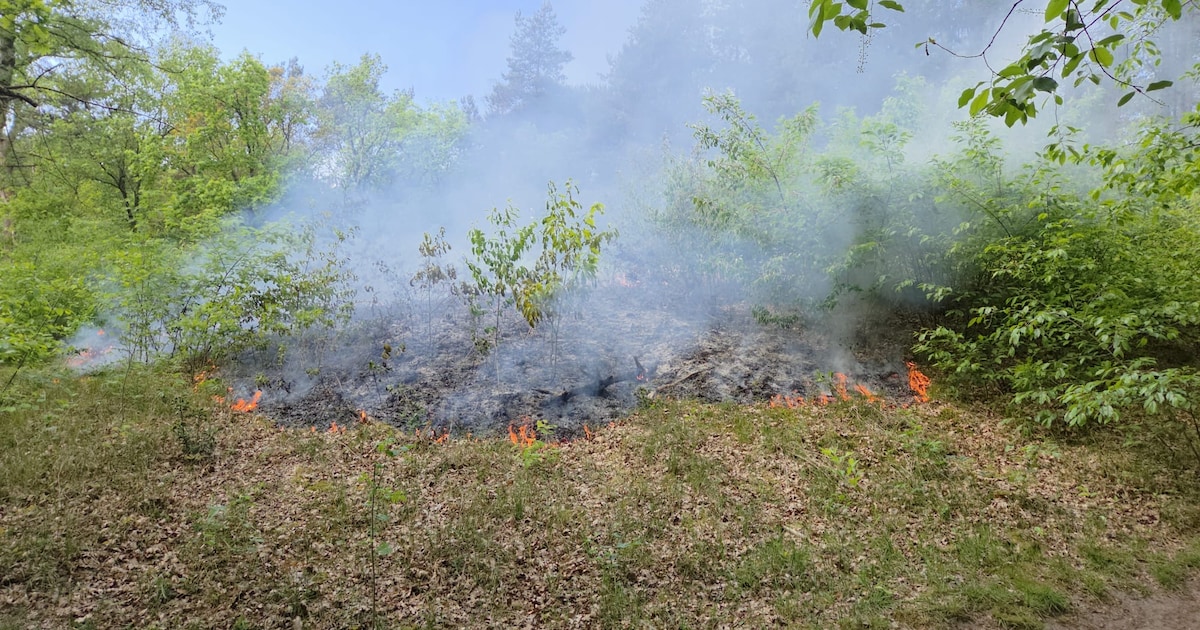 Bosbrand op Erfgooiersstraat in Hilversum